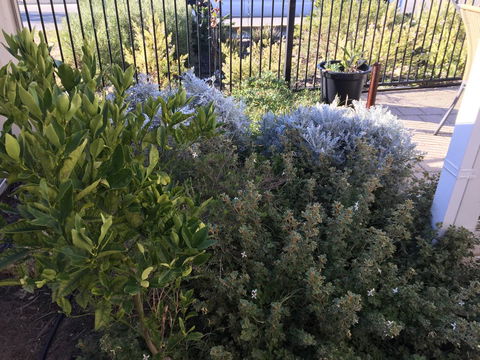 Lakeside Views - Accommodation Sunshine Coast 10