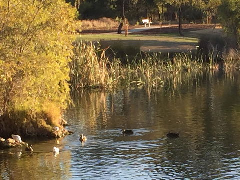 Lakeside Views - Accommodation Sunshine Coast 15