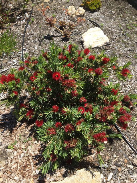 Lakeside Views - Accommodation Sunshine Coast 8