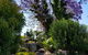 Jacaranda Hideaway Bed & Breakfast - thumb 10
