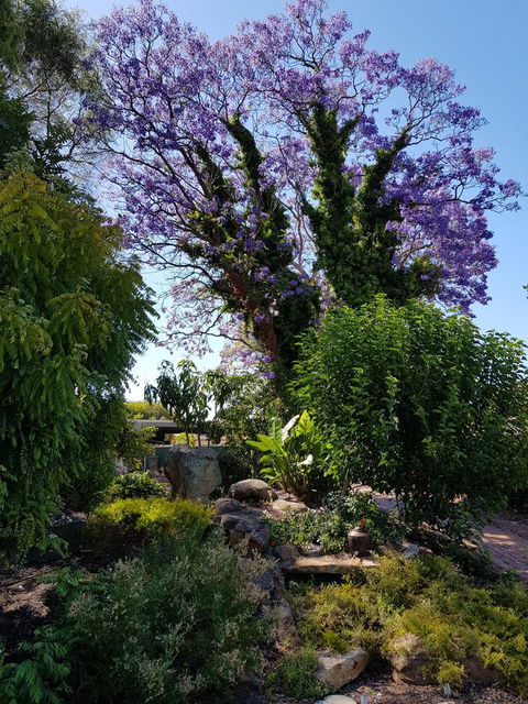 Jacaranda Hideaway Bed & Breakfast - Accommodation Sunshine Coast 10