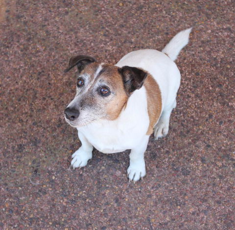 Jacaranda Hideaway Bed & Breakfast - Accommodation Sunshine Coast 13