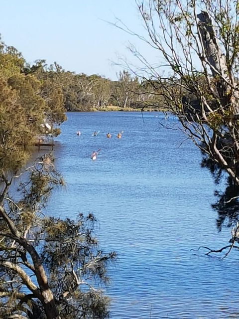 Jacaranda Hideaway Bed & Breakfast - Accommodation Sunshine Coast 19