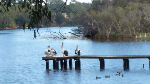 Jacaranda Hideaway Bed & Breakfast - Accommodation Sunshine Coast 18