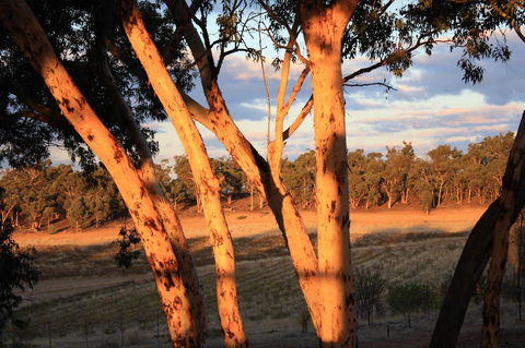 Hotham Ridge Estate - Accommodation Sunshine Coast 30