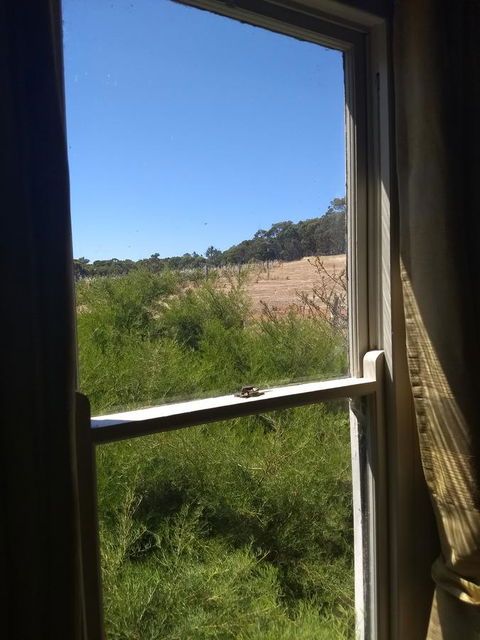 Hotham Ridge Estate - Accommodation Sunshine Coast 8