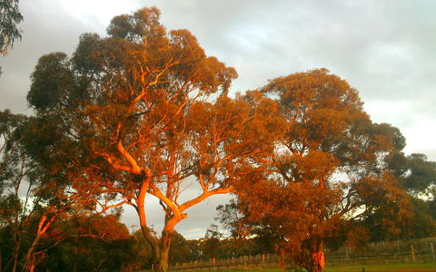 Hotham Ridge Estate - Accommodation Sunshine Coast 35