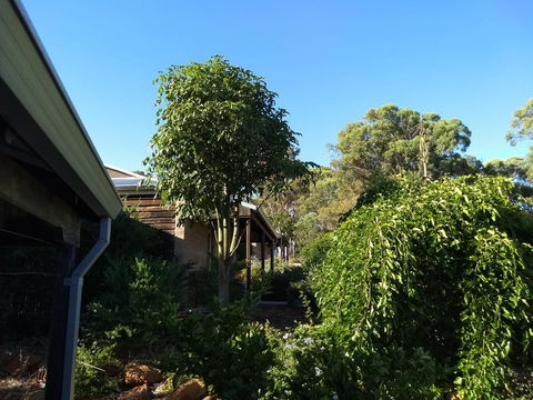 Hotham Ridge Estate - Accommodation Sunshine Coast 5