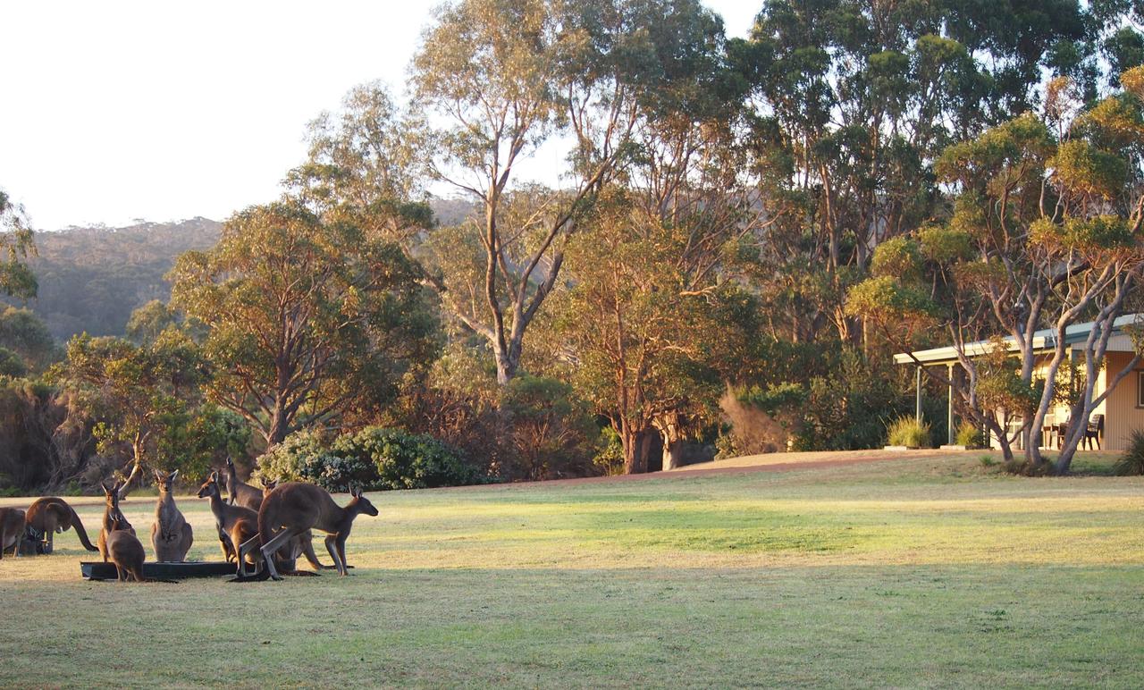  Accommodation Sunshine Coast