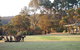 Riverside Retreat Chalets, Walpole - thumb 0
