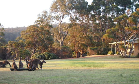 Riverside Retreat Chalets, Walpole - Accommodation Sunshine Coast 0