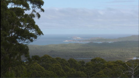 Riverside Retreat Chalets, Walpole - Accommodation Sunshine Coast 30