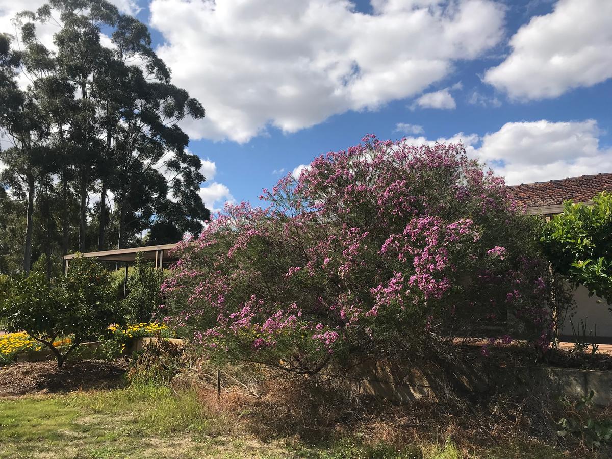  Accommodation Sunshine Coast