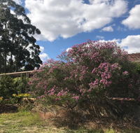 Cockburn Retreat Home  - Accommodation Sunshine Coast