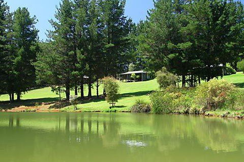 Hawke Brook Chalets - Accommodation Sunshine Coast 2