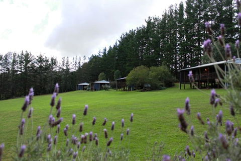Hawke Brook Chalets - Accommodation Sunshine Coast 1