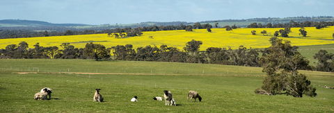 Kendenup Cottages And Lodge - Accommodation Sunshine Coast 44