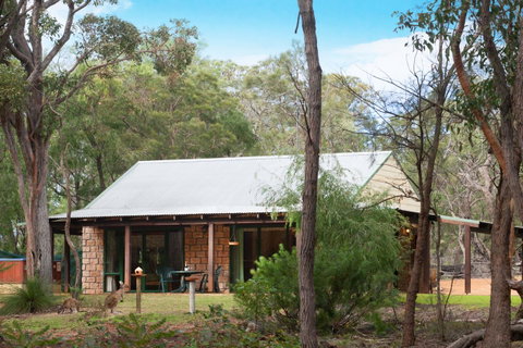 Yelverton Brook Conservation Sanctuary - Accommodation Sunshine Coast 31
