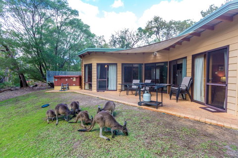 Yelverton Brook Conservation Sanctuary - Accommodation Sunshine Coast 18