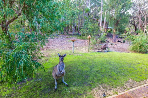 Yelverton Brook Conservation Sanctuary - Accommodation Sunshine Coast 11