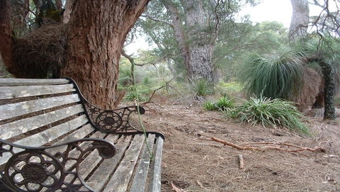 Yelverton Brook Conservation Sanctuary - Accommodation Sunshine Coast 42