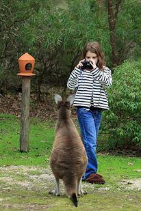 Yelverton Brook Conservation Sanctuary - Accommodation Sunshine Coast 39