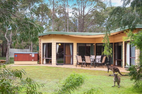 Yelverton Brook Conservation Sanctuary - Accommodation Sunshine Coast 20