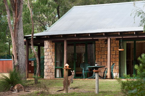Yelverton Brook Conservation Sanctuary - Accommodation Sunshine Coast 36