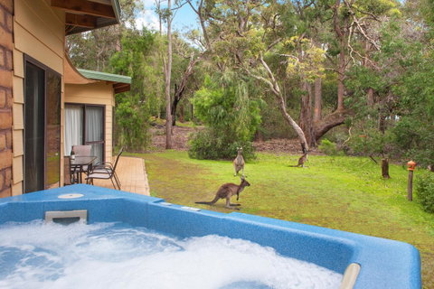 Yelverton Brook Conservation Sanctuary - Accommodation Sunshine Coast 9