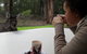 Yelverton Brook Conservation Sanctuary - thumb 44