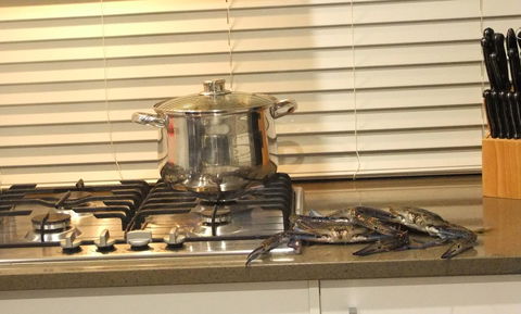 South Yunderup Holiday Rental - Accommodation Sunshine Coast 12