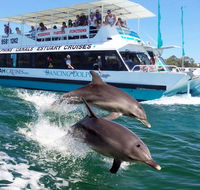 Belvedere Caravan Park - Accommodation Sunshine Coast