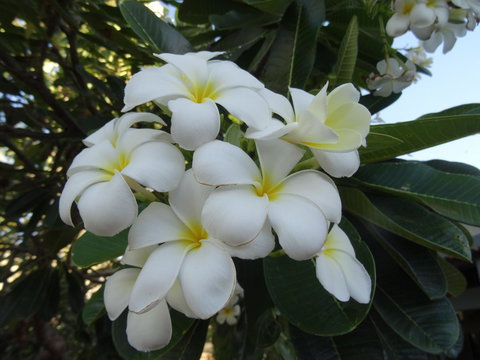 Broome - Accommodation Sunshine Coast 3