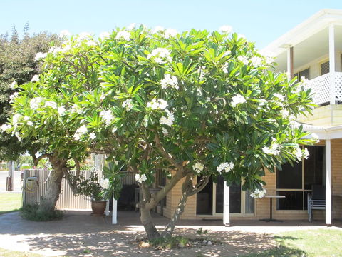 Kalbarri Riverfront Unit - Accommodation Sunshine Coast 6