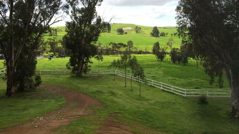 Daisy Cottage - Accommodation Sunshine Coast 22