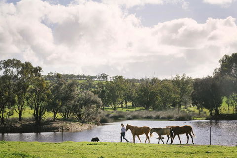 Daisy Cottage - Accommodation Sunshine Coast 28