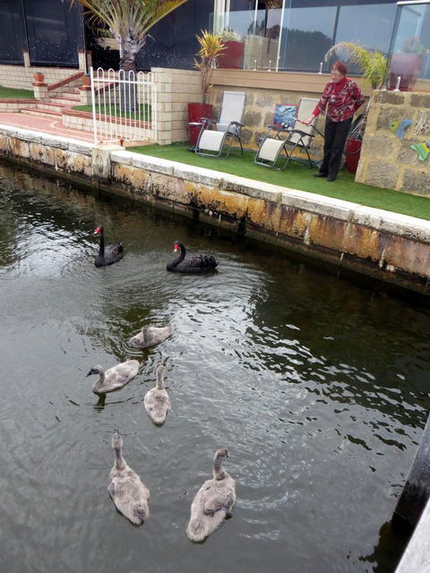 Yunderup Kannie Kottage - Accommodation Sunshine Coast 14