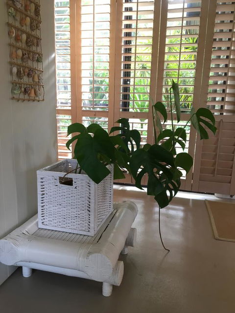 DESIGNER'S STUDIO - Accommodation Sunshine Coast 5