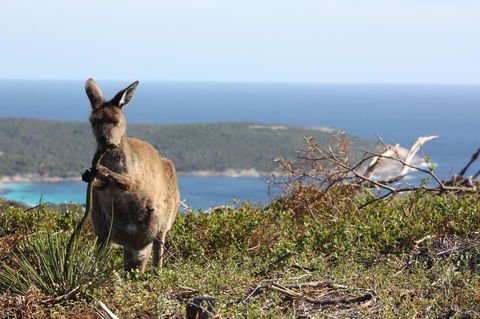Bremer Bay B&B - Accommodation Sunshine Coast 30