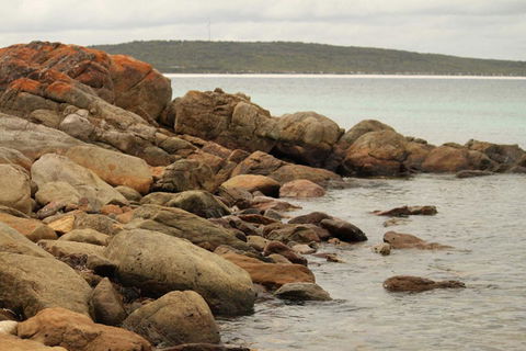 Bremer Bay B&B - Accommodation Sunshine Coast 34