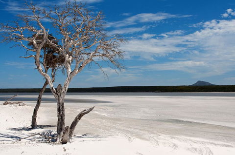 Bremer Bay B&B - Accommodation Sunshine Coast 33