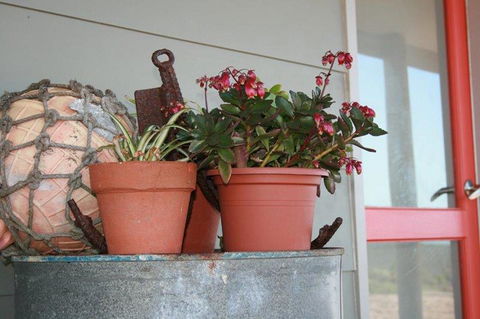 Bremer Bay B&B - Accommodation Sunshine Coast 28