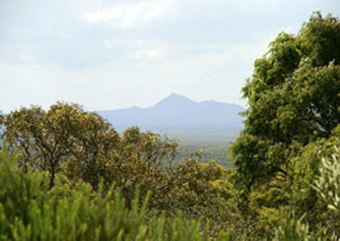 Bremer Bay B&B - Accommodation Sunshine Coast 32