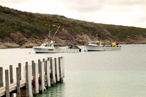 Bremer Bay B&B - Accommodation Sunshine Coast 38