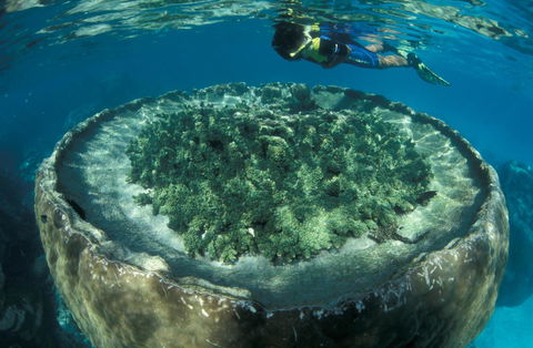 Sal Salis Ningaloo Reef - Accommodation Sunshine Coast 8