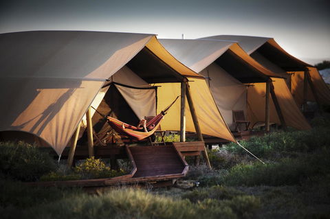 Sal Salis Ningaloo Reef - Accommodation Sunshine Coast 23