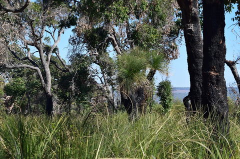 Eagle Bay House - Accommodation Sunshine Coast 32