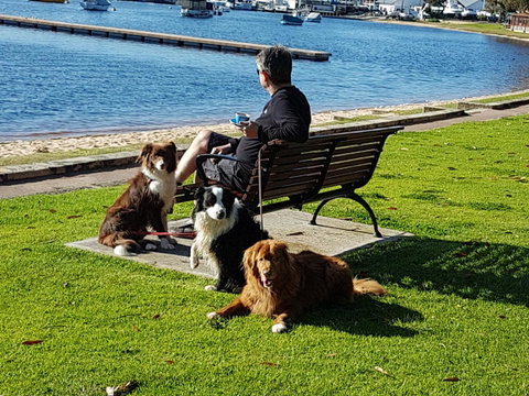 Como Executive Apartment - Accommodation Sunshine Coast 23