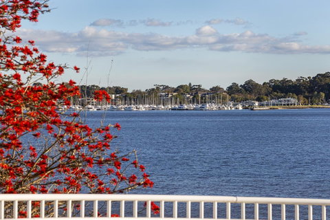 Como Executive Apartment - Accommodation Sunshine Coast 22