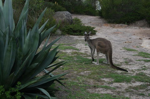 Aqua Views - Accommodation Sunshine Coast 15
